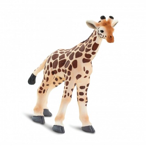Giraffa Baby