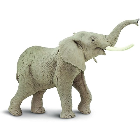 Elefante Africano