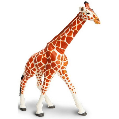 Giraffa Reticolata