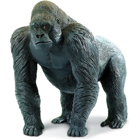 Gorilla