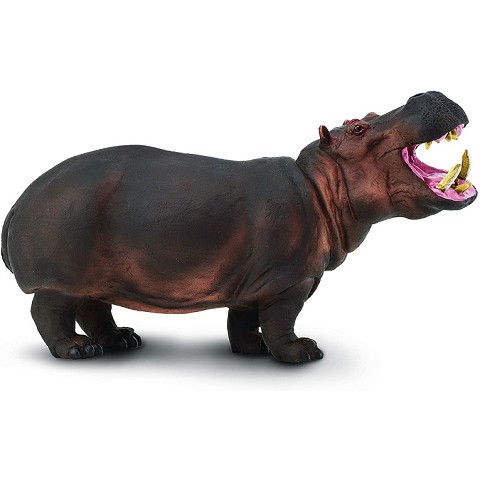 Ippopotamo