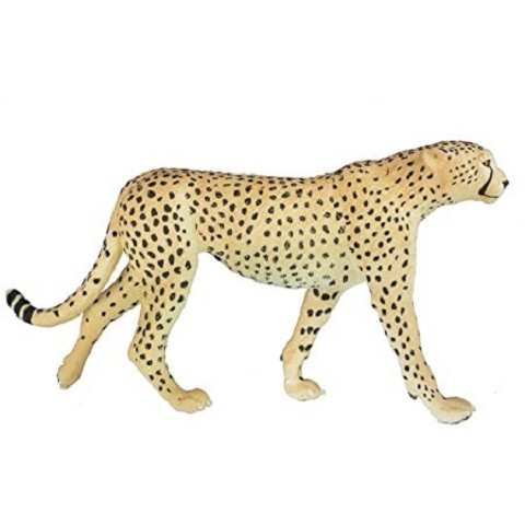 Ghepardo