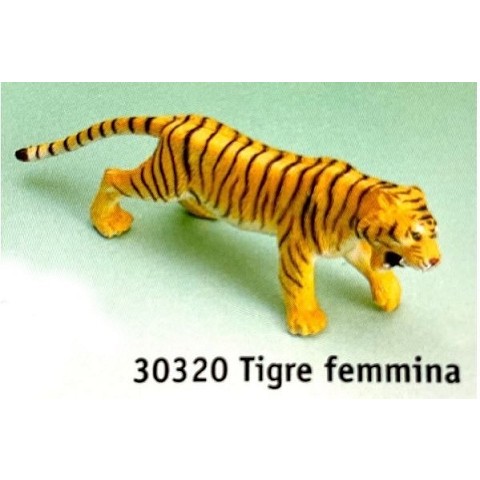 Tigre femmina