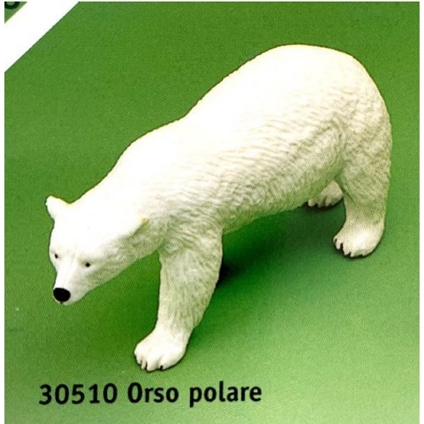 Orso polare