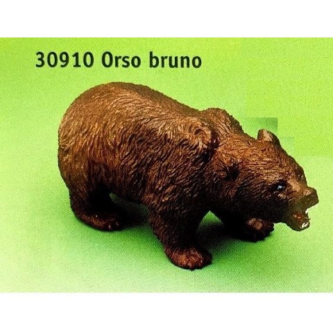 Orso bruno