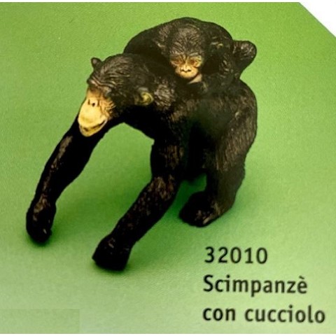 Scimpanzè con cucciolo
