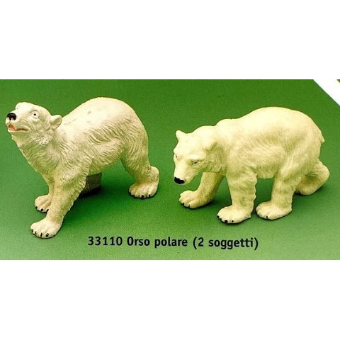 Orso polare