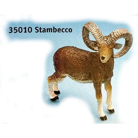 Stambecco