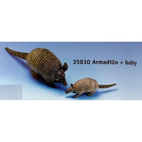 Armadillo con baby