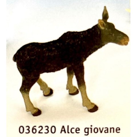 Alce giovane