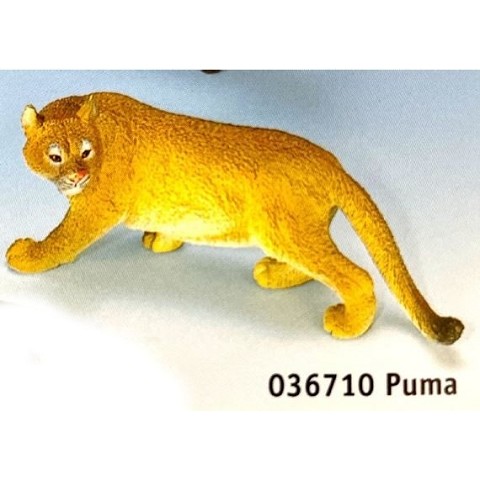 Puma