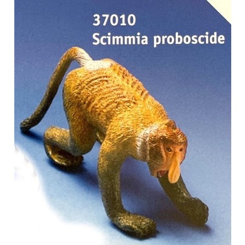 Scimmia con proboscide