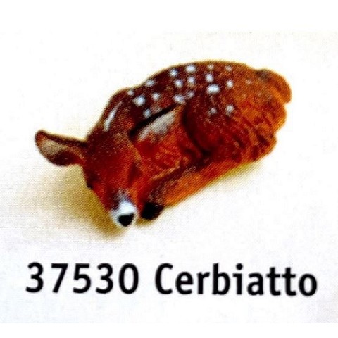 Cerbiatto