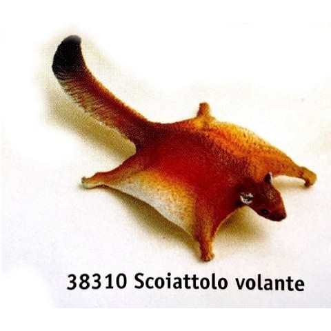 Scoiattolo volante