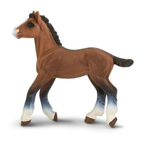 Puledro di Clydesdale