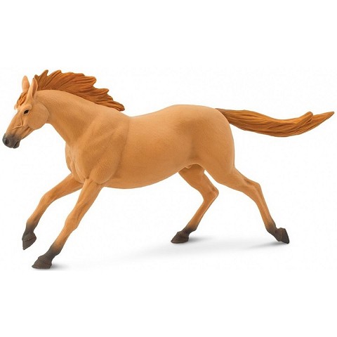 Stallone Trakehner