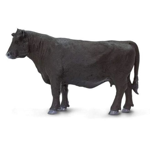 Mucca Angus