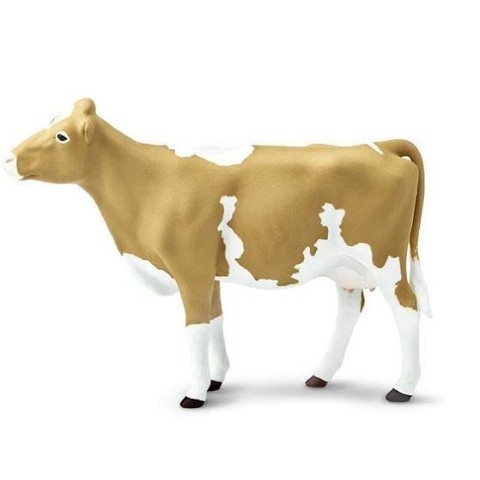 Mucca Guernsey