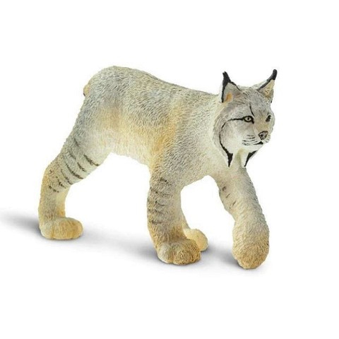 Lince