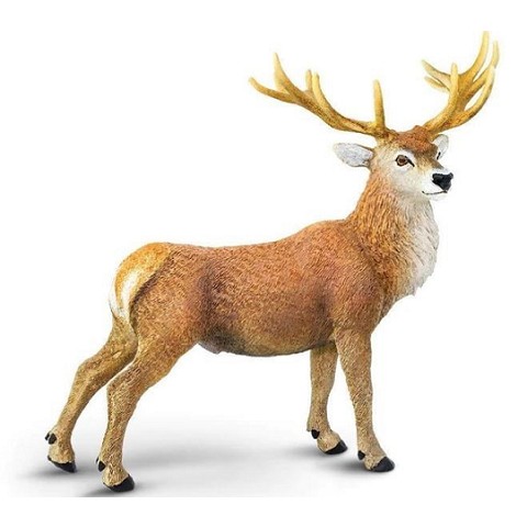 Cervo Rosso