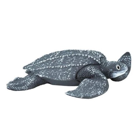 Tartaruga Liuto