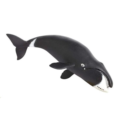 Balena Bowhead