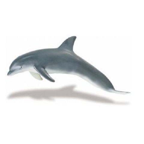 Delfino Cucciolo