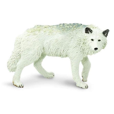 Lupo Bianco