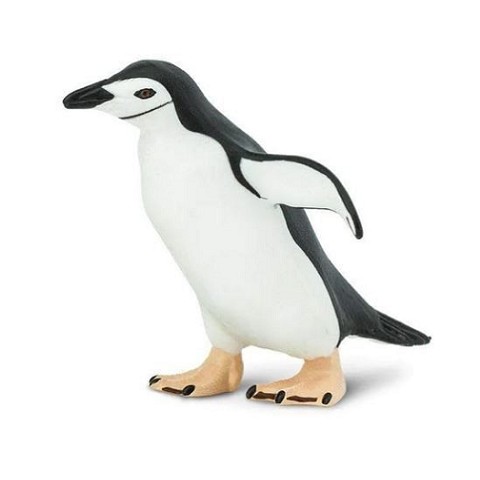 Pinguino