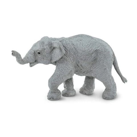 Elefante Asiatico Cucciolo