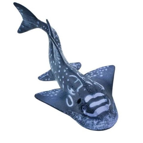 Squalo Ray