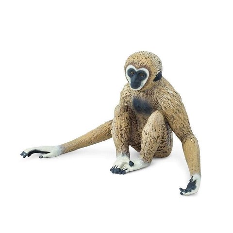 Gibbone
