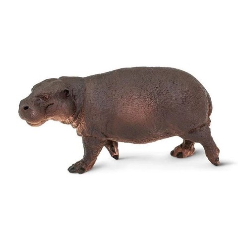 Ippopotamo Pigmeo