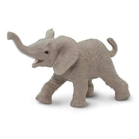Elefante Africano cucciolo