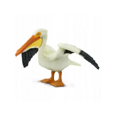 Pellicano