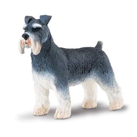 Schnauzer