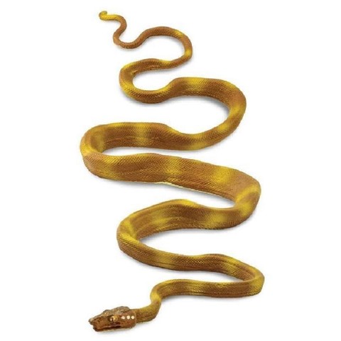 Serpente Boa Amazzone