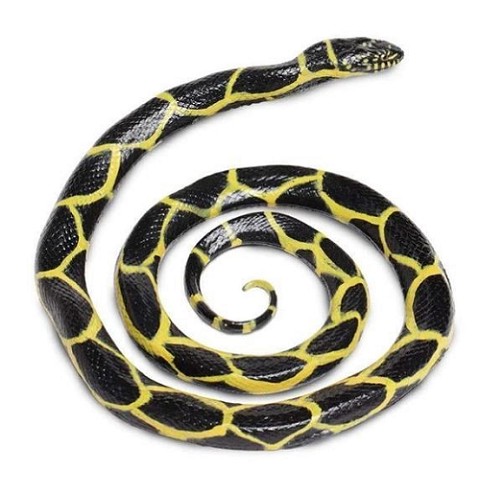 Serpente Reale Chain