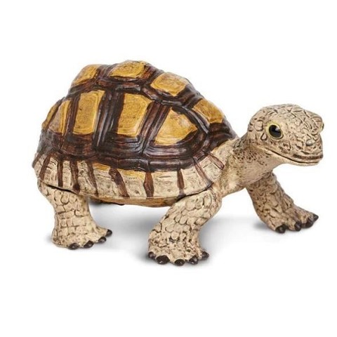 Tartaruga