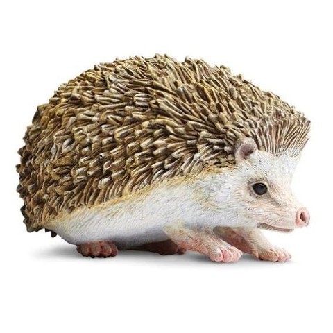Riccio
