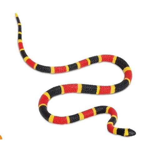Serpente Corallo Baby