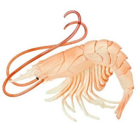 Gambero di Mare