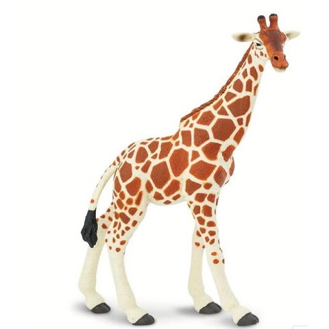 Giraffa Reticolata