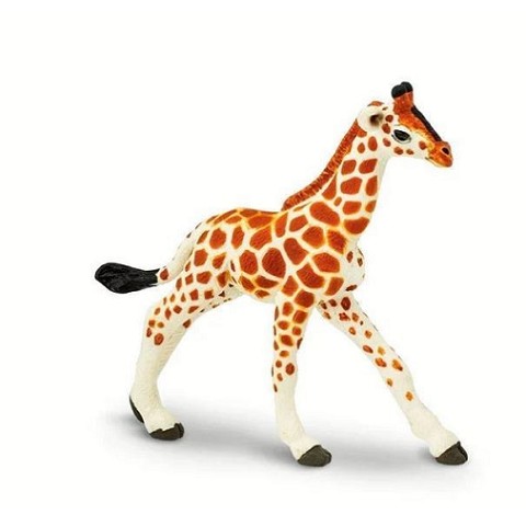 Giraffa Reticolata Baby