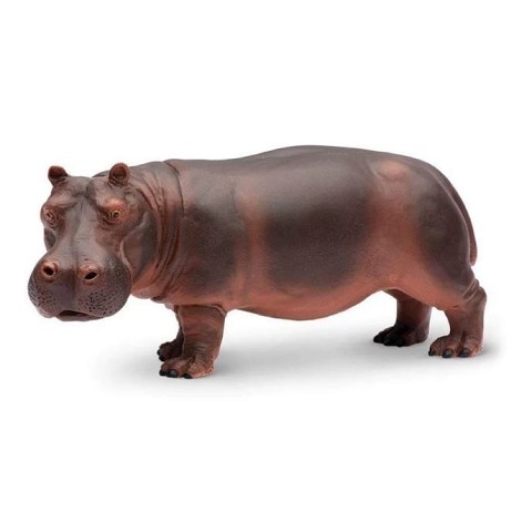 Ippopotamo