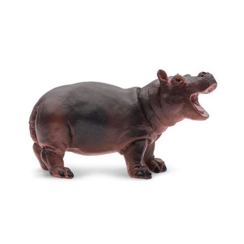 Ippopotamo Baby