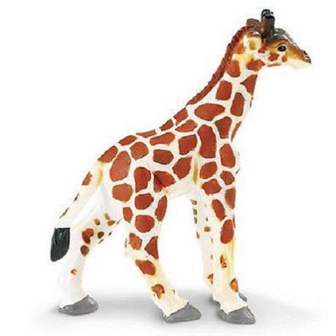 Giraffa Baby