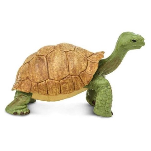 Tartaruga Gigante