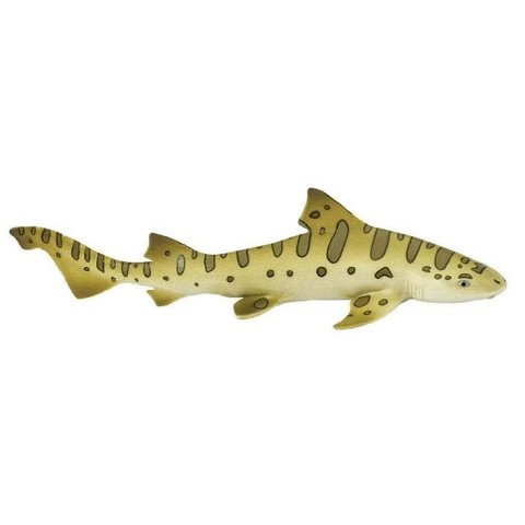 Squalo Leopardo