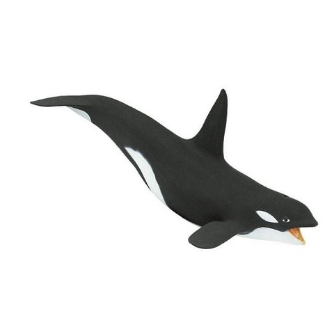 Orca